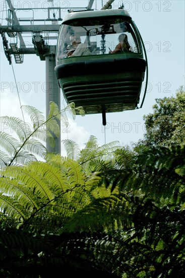 Australia, Queensland, Kuranda, The Skyrail Cablecar to Kuranda