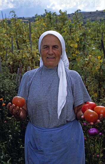 BULGARIA, Dobarsko, Farmer holding tomatoes in field.