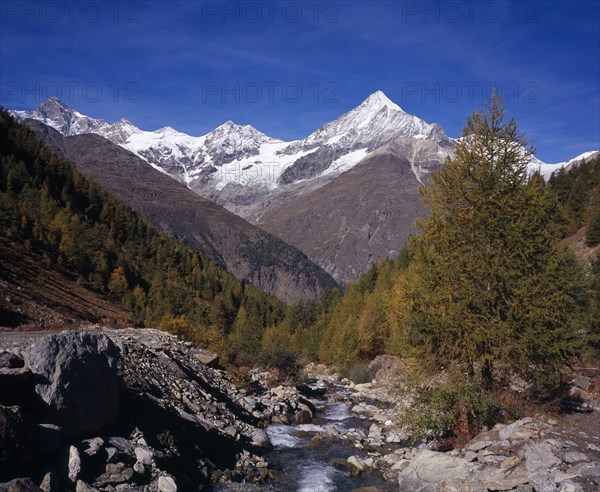 SWITZERLAND, Valais, Weisshorn Mountain, River Taschbach with the Snow capped Weisshorn  Mountain 4506metres (14757ft ) on skyline. Trees in autumn colours.