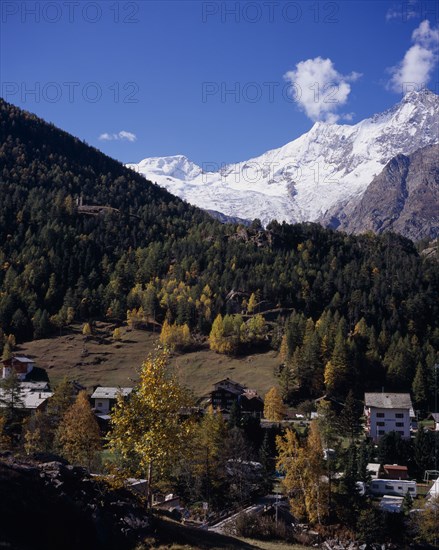 SWITZERLAND, Valais, Saas-Fee,  Village surrounded by trees in autumn colours with snow covered Mischabel Ridge in the background