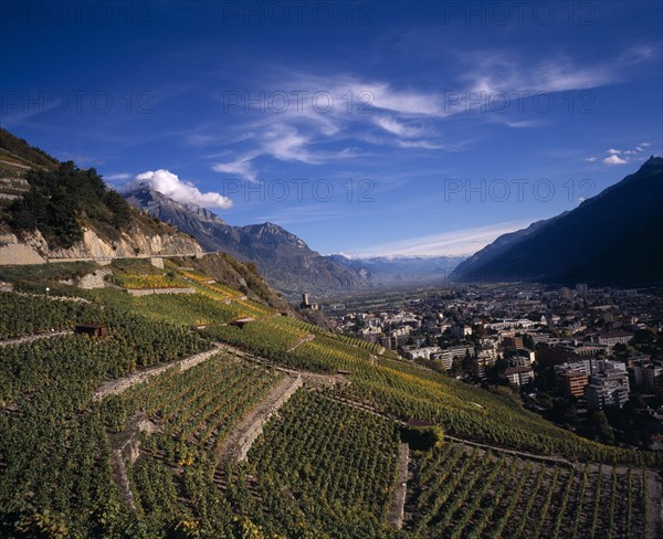 SWITZERLAND, Valais, Martigny, Elevated view east along Rhone Valley above Vinyards and Town of Martigny.