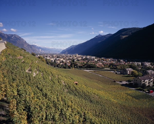 SWITZERLAND, Valais, Martigny, Elevated view east along Rhone Valley above Vineyards and town