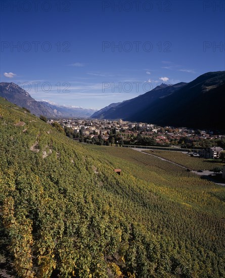 SWITZERLAND, Valais, Martigny, Rhone Valley. View across Vineyards on slope towards the town.