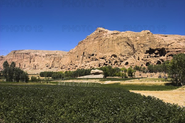 AFGHANISTAN, Bamiyan Province, Bamiyan , General view over crop field with mountains behind.