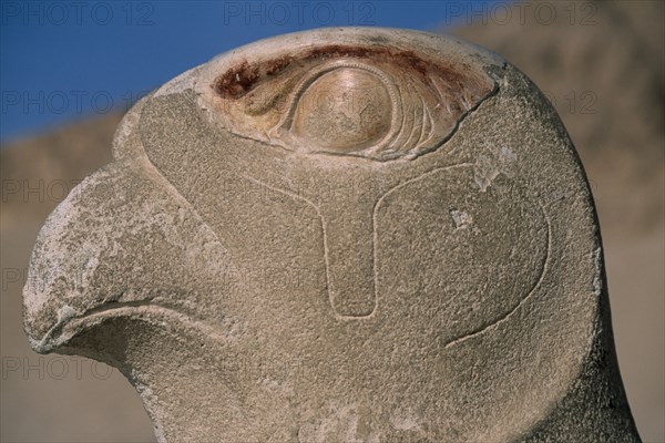 EGYPT, Nile Valley, Thebes, Deir-el-Bari. Hepshepsut Mortuary Temple. Carved statue  of the God Horus represented as a falcon