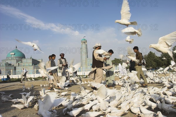 AFGHANISTAN, Mazar-I-Sharif, "Shrine of Hazrat Ali (who was assissinated in 661) This shrine was built here in 1136 on the orders of Seljuk Sultan Sanjar, destroyed by Genghis Khan and rebuilt by Timurid Sultan Husain Baiqara in 1481, since restored. The shrine is famous for its white pigeons, it is said the site is so holy that if a grey pigeon flies here it will turn white within 40 day"