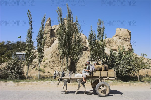 AFGHANISTAN, (Mother of Cities), Balkh, Men in horse and cart with sheep in back ride past ancient walls of Balkh mostly built in the Timurid period