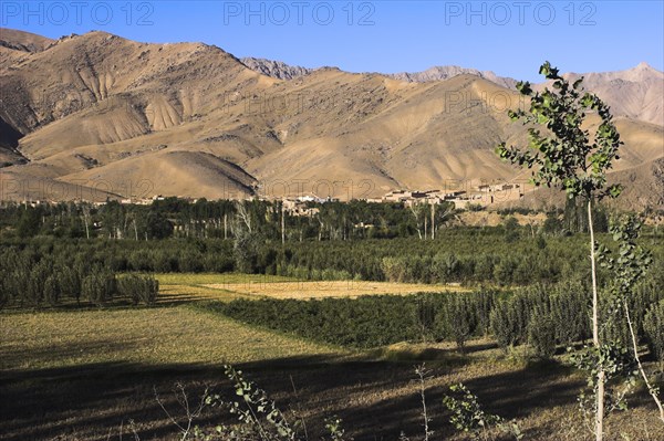AFGHANISTAN, Sar-e-Cheshma , "Between Kabul and Bamiyan (the southern route), Fields near Sar-e-Cheshma (Sarcheshma)"