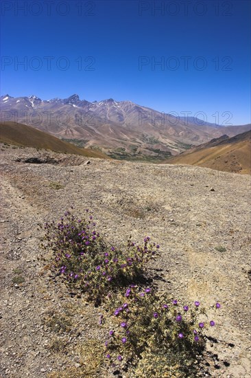 AFGHANISTAN, Landscape, "Between Kabul and Bamiyan (the southern route), Hajigak pass (12,140ft, 3700m"