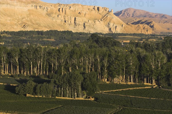 AFGHANISTAN, Bamiyan Province, Bamiyan, Cliffs of the valley