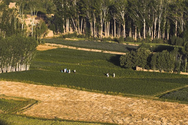 AFGHANISTAN, Bamiyan Province, Bamiyan, People walk along path through fields in the early morning