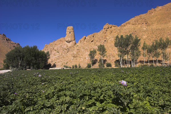 AFGHANISTAN, Bamiyan Province, Bamiyan, "Kakrak valley, watchtower at ruins which were once the site of a 21ft standing Buddha in a niche, discovered in 1030 and surrounded by caves whose Buddhists paintings thought to date from the 9th and 9th Centuries AD but removed by French archaeologists and put in the National musuem in Kabul "