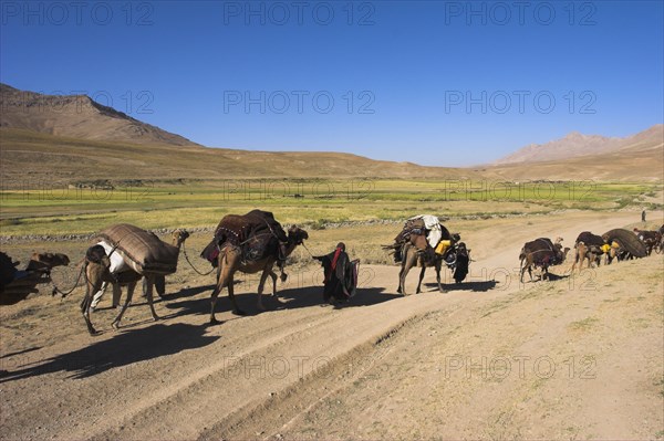 AFGHANISTAN, Desert, Kuchie nomad camel train between Chakhcharan and Jam