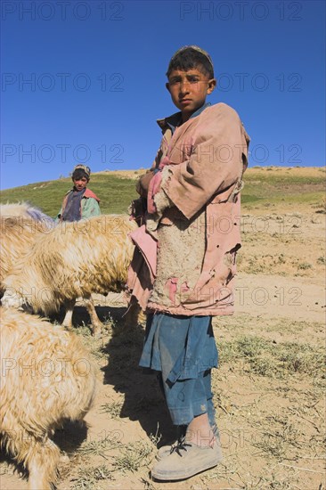 AFGHANISTAN, Agriculture, "Shepard boy tending his flock, between Chakhcharan and Jam"