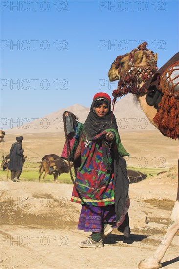 AFGHANISTAN, Desert, "Kuchie nomad lady leads camel train, between Chakhcharan and Jam"