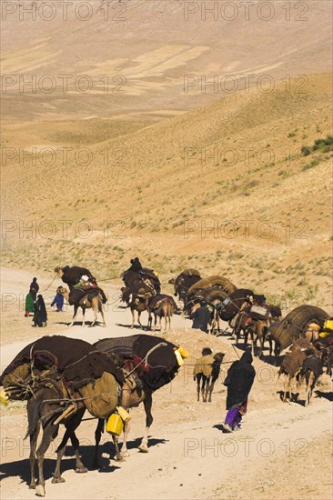 AFGHANISTAN, Desert, "Kuchie nomad lady leads camel train, between Chakhcharan and Jam"