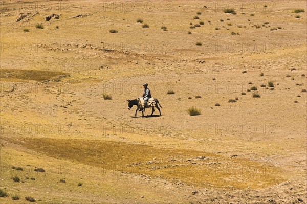 AFGHANISTAN, , Shepard with sheep between Chakhcharan and Jam