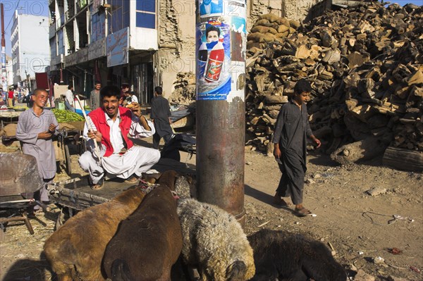 AFGHANISTAN, Kabul, "Central Kabul, Shor Bazaar, Sheep tied to electricity pole."