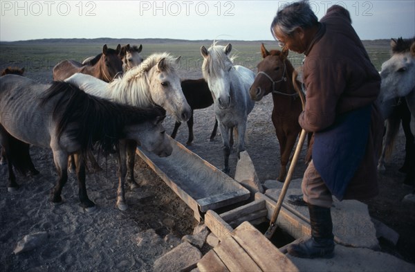 MONGOLIA, South Gobi, Agriculture, Man drawing water from well to water horses waiting beside metal trough.