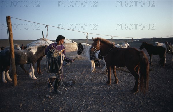 MONGOLIA, Gobi Desert, Transport, Man about to saddle up at horse lines with yurts behind in early morning light.