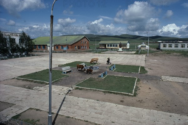 MONGOLIA, Gurwanbayan, Town centre with cattle grazing in public square and two people with pushchair.