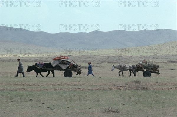MONGOLIA, Animals, Nomad family leading yak and horse drawn carts laden with their belongings through open landscape.