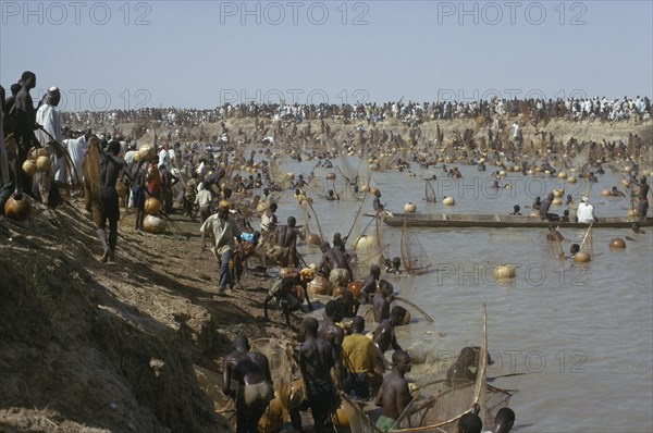 NIGERIA, North, Argungu, "Fishing Festival, mass of men and nets along stretch of river and bank."