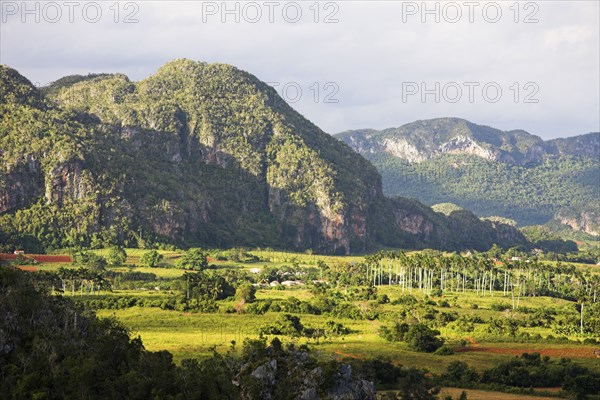 CUBA, Pinar del Rio, Vinales Valley, "View across the Vinales Valley to the Mogotes, "