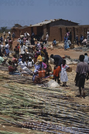 MALAWI, Jenda, Sugar cane vendors and customers at roadside market.