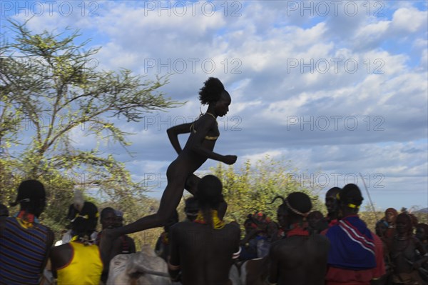 ETHIOPIA, Lower Omo Valley, Turmi, "Hama Jumping of the Bulls intiation ceremony, the initiate runs over bulls"