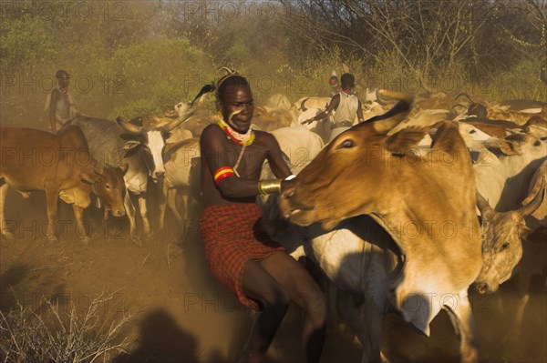 ETHIOPIA, Lower Omo Valley, Tumi, "Hama Jumping of the Bulls intiation ceremony, getting the bulls ready for jumping ceremony"