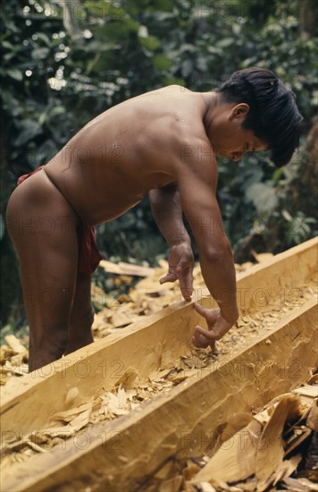 COLOMBIA, Choco, Embera Indigenous People, Embera man making dug-out canoe from large hardwood tree using hands to measure height and width of sides . Pacific coastal region boat canoa tribe American Colombian Colombia Hispanic Indegent Latin America Latino Male Men Guy South America  Pacific coastal region boat piragua tribe American Colombian Columbia Hispanic Indegent Latin America Latino Male Men Guy South America Male Man Guy One individual Solo Lone Solitary 1 Single unitary