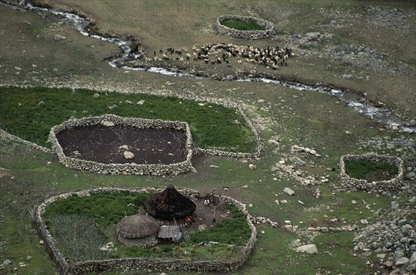 COLOMBIA, Sierra Nevada de Santa Marta, Ika  Indigenous People, Elevated view over Ika sheep camp with circular thatched huts and stone walled sheep pens high in Sierra Nevada de Santa Marta  N.Colombia.  Flock of sheep graze beside stream  potato crop surrounds huts.  Arhuaco Aruaco indigenous tribe American Colombian Colombia Hispanic Latin America Latino Scenic South America  Arhuaco Aruaco indigenous tribe American Colombian Columbia Hispanic Latin America Latino Scenic South America Farming Agraian Agricultural Growing Husbandry  Land Producing Raising Indegent Livestock Agriculture