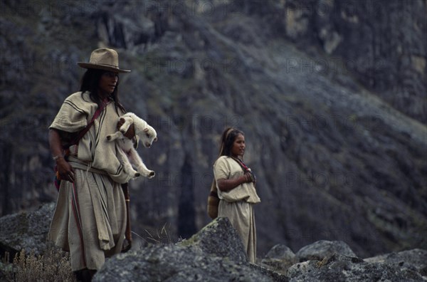 COLOMBIA, Sierra Nevada de Santa Marta, Ika, Ika shepherd in traditional wool&cotton manta cloak  carrying newly born lamb walking beside his young sister on mountain pastures high in the Sierra Nevada de Santa Marta. Arhuaco Aruaco indigenous tribe American Colombian Colombia Hispanic Indegent Latin America Latino Scenic South America  Arhuaco Aruaco indigenous tribe American Colombian Columbia Hispanic Indegent Latin America Latino Scenic South America Farming Agraian Agricultural Growing Husbandry  Land Producing Raising Immature Agriculture Classic Classical Historical Older Young Unripe Unripened Green
