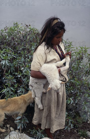 COLOMBIA, Sierra Nevada de Santa Marta, Ika, Ika shepherd girl checking recently born lamb's feet in the high Sierra with sheepdog behind her. Arhuaco Aruaco indigenous tribe American Colombian Colombia Hispanic Indegent Latin America Latino Scenic South America  Arhuaco Aruaco indigenous tribe American Colombian Columbia Hispanic Indegent Latin America Latino Scenic South America Farming Agraian Agricultural Growing Husbandry  Land Producing Raising Immature One individual Solo Lone Solitary 1 Agriculture Single unitary Young Unripe Unripened Green
