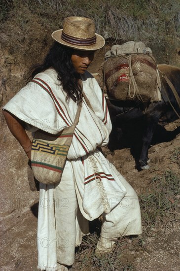 COLOMBIA, Sierra Nevada de Santa Marta, Ika, Ika man in traditional dress with hand-sewn wool&cotton mochila shoulder bag takes supplies into the Sierra by mule. Arhuaco Aruaco indigenous tribe American Classic Classical Colombian Colombia Hispanic Historical Indegent Latin America Latino Male Men Guy Older South America  Arhuaco Aruaco indigenous tribe American Classic Classical Colombian Columbia Hispanic Historical Indegent Latin America Latino Male Men Guy Older South America History Male Man Guy One individual Solo Lone Solitary 1 Single unitary
