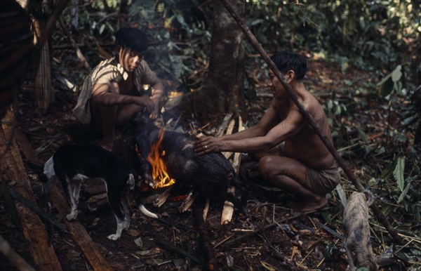 COLOMBIA, North West Amazon, Vaupes, Maku hunters with dog  singeing hair from carcass of wild boar over open fire. indigenous tribe indian nomadic American Colombian Columbia Hispanic Indegent Latin America Latino South America Vaupes Vaupes