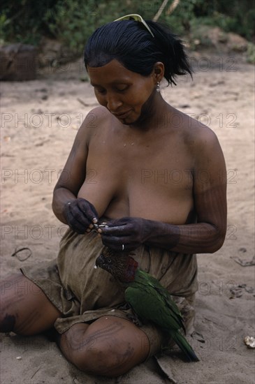 COLOMBIA, North West Amazon, Tukano Indigenous People, Barasana woman with dark purple we leaf dye body decoration on neck hands legs and arms sitting on ground to feed pet parrot. Tukano sedentary Indian tribe North Western Amazonia body decoration American Colombian Columbia Female Women Girl Lady Hispanic Indegent Latin America Latino South America Tukano