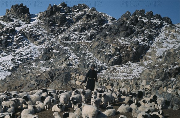 MONGOLIA, Gobi Desert, Biger Negdel, "Khalkha winter sheep camp, shepherd in fleece-lined silk tunic and fur hat brings in his flock at foot of rocky mountainside with light covering of snow.  East Asia Asian Mongol Uls Mongolian Scenic "