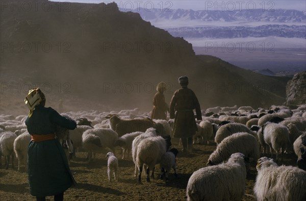 MONGOLIA, Gobi Desert, "Khalkha winter sheep camp,  shepherd and family selecting and separating  lambs from flock Altai mountains in background. Khalkha East Asia Asian Mongol Uls Mongolian Scenic "