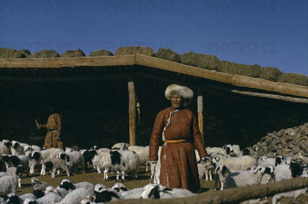 MONGOLIA, Agriculture, Khalkha winter sheep camp. Shepherd and daughter separating out lambs from sheep in pen in front of shelter with bales of fodder stored on sloping roof. East Asia Asian Mongol Uls Mongolian