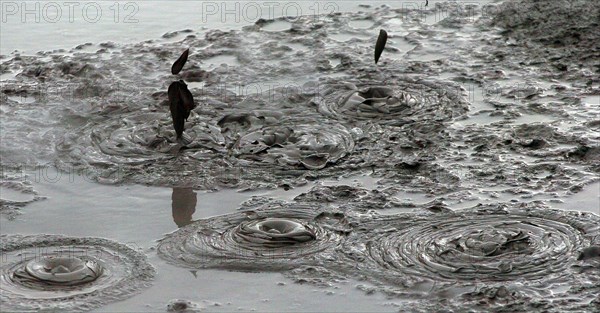 NEW ZEALAND, NORTH ISLAND, ROTORUA, BOILING MUD POOLS OF WHAKAREWAREWA THERMAL VILLAGE.