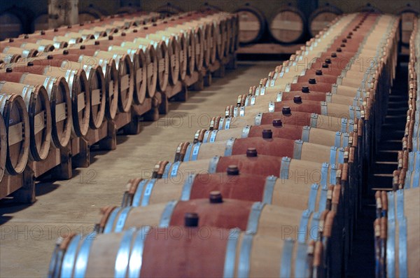 NEW ZEALAND, NORTH ISLAND, HAWKES BAY, "NAPIER, THE TOM MCDONALD WINE CELLAR AT CHURCH ROAD WINERY. Built as a tribute to the legendary father of quality red winemaking in New Zealand, Tom McDonald, the cellar features New Zealand matai floors (recycled from the old Napier wool stores at Port Ahuriri), open jarrah beams and contemporary copper lighting. At the cellar's rear lie hundreds of French oak barriques in which Church Road's premium Bordeaux-style red wines mature."