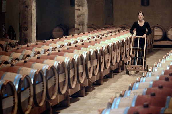 NEW ZEALAND, NORTH ISLAND, HAWKES BAY, "NAPIER, THE TOM MCDONALD WINE CELLAR AT CHURCH ROAD WINERY. Built as a tribute to the legendary father of quality red winemaking in New Zealand, Tom McDonald, the cellar features New Zealand matai floors (recycled from the old Napier wool stores at Port Ahuriri), open jarrah beams and contemporary copper lighting. At the cellar's rear lie hundreds of French oak barriques in which Church Road's premium Bordeaux-style red wines mature"