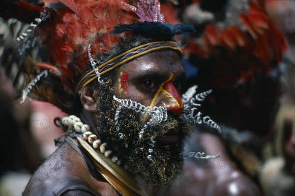 PAPUA NEW GUINEA, Chimbu, Head and shoulders portrait of man wearing traditional head-dress of red feathers with shell necklaces and nose piercing of white painted leaves.  Red and yellow face paint extending down nose and at side of eyes and beard tipped with yellow.