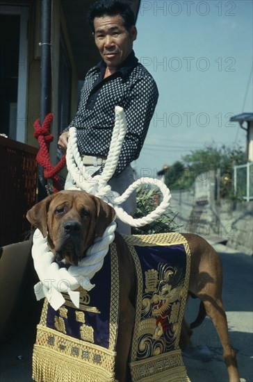 JAPAN, People, Yakuza, Portrait of gangster boss with his champion fighting dog draped with gold and purple embroidered sash.