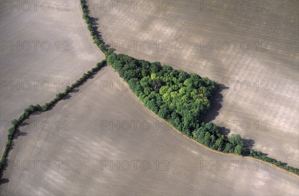 ENGLAND, Bedfordshire, Landscape, Aerial view over triangle of coppiced woodland and surrounding fields of thin soil covering chalk near Barton-le-Clay.