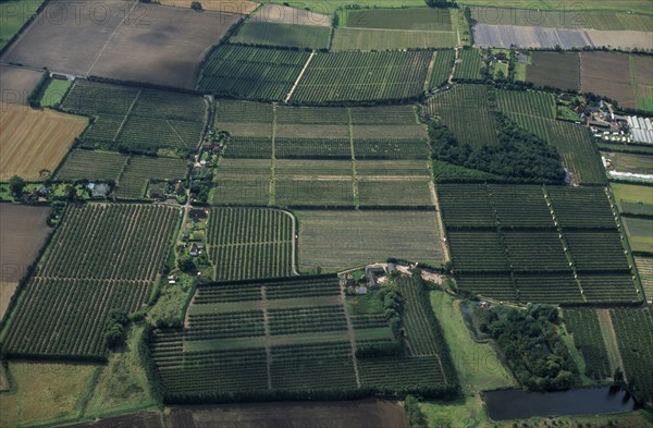ENGLAND, Kent, Landscape, Aerial view over orchards at Broom Street North East of Faversham creating patchwork pattern.