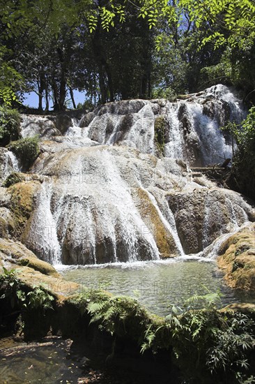 MEXICO, Chiapas, "Parque Nacional Agua Azul,", "Cascada Agua Azul, Agua Azul Waterfall, near Palenque"