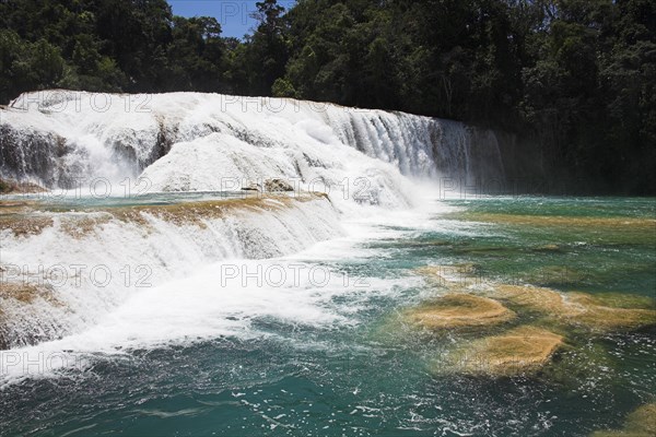 MEXICO, Chiapas, "Parque Nacional Agua Azul,", "Cascada Agua Azul, Agua Azul Waterfall, near Palenque"